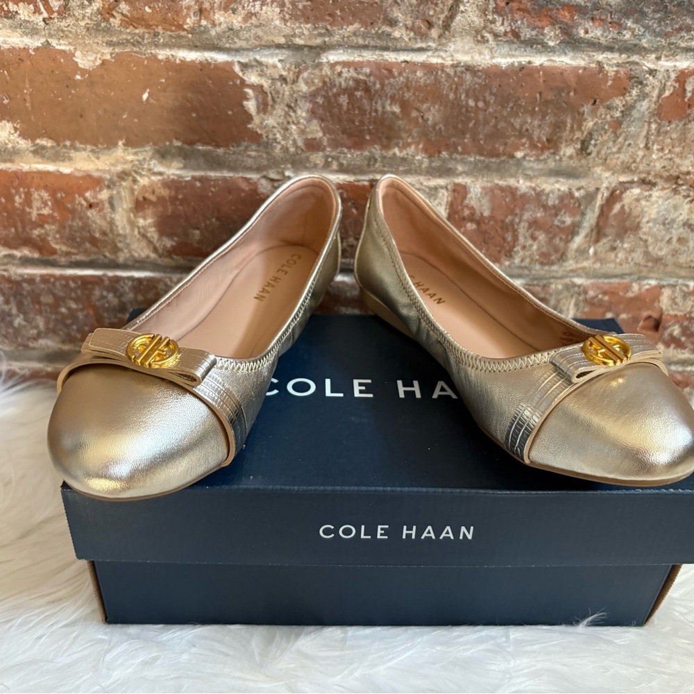 Cole Haan Silver Flats with Gold Accents